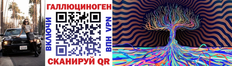 Псилоцибиновые грибы Psilocybe  Кувшиново 